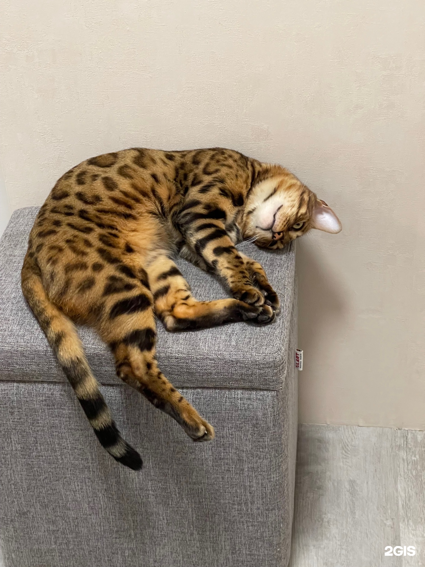 Фауна, ветеринарный центр, СГАУ