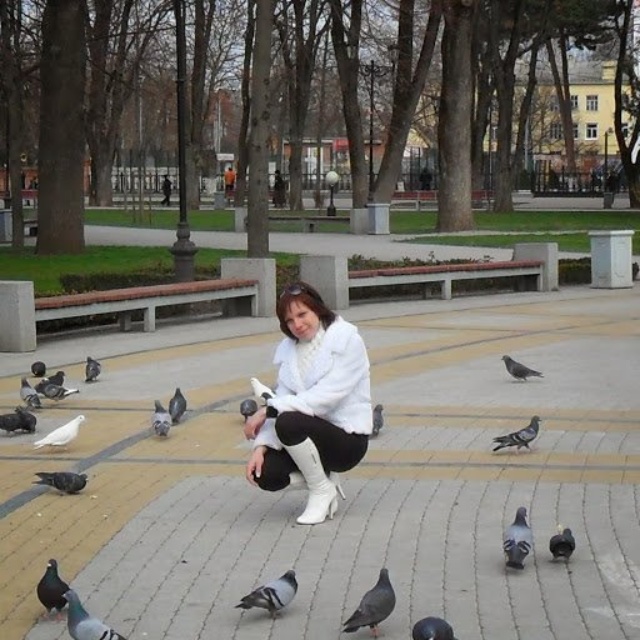 Пингвин, ветеринарная клиника