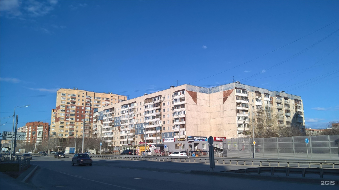 Пушок, студия груминга