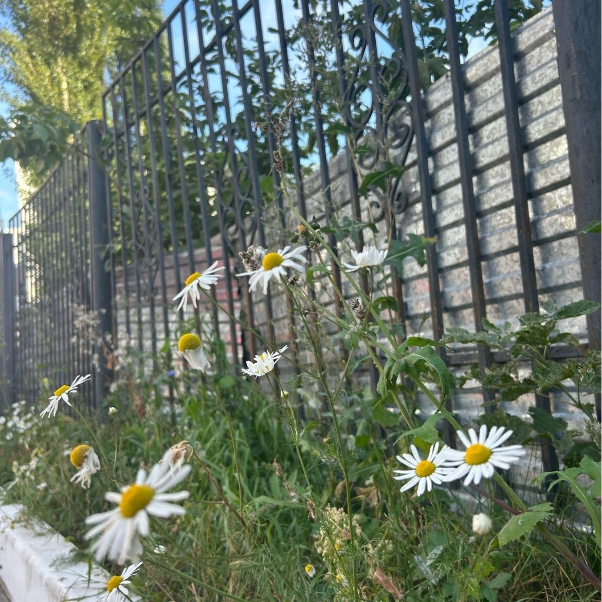 Наш добрый доктор, ветеринарная клиника