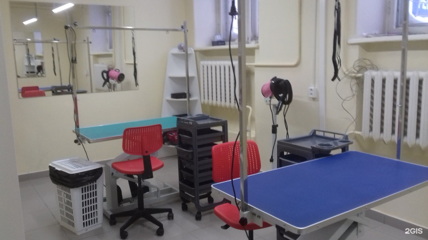 Центр груминга — груминг Уфа