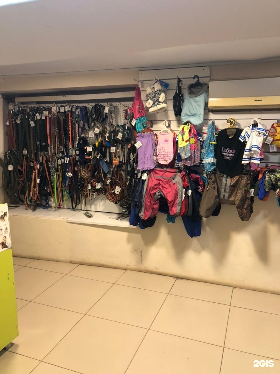 Ветленд, ветеринарный центр и магазин зоотоваров — груминг Уфа