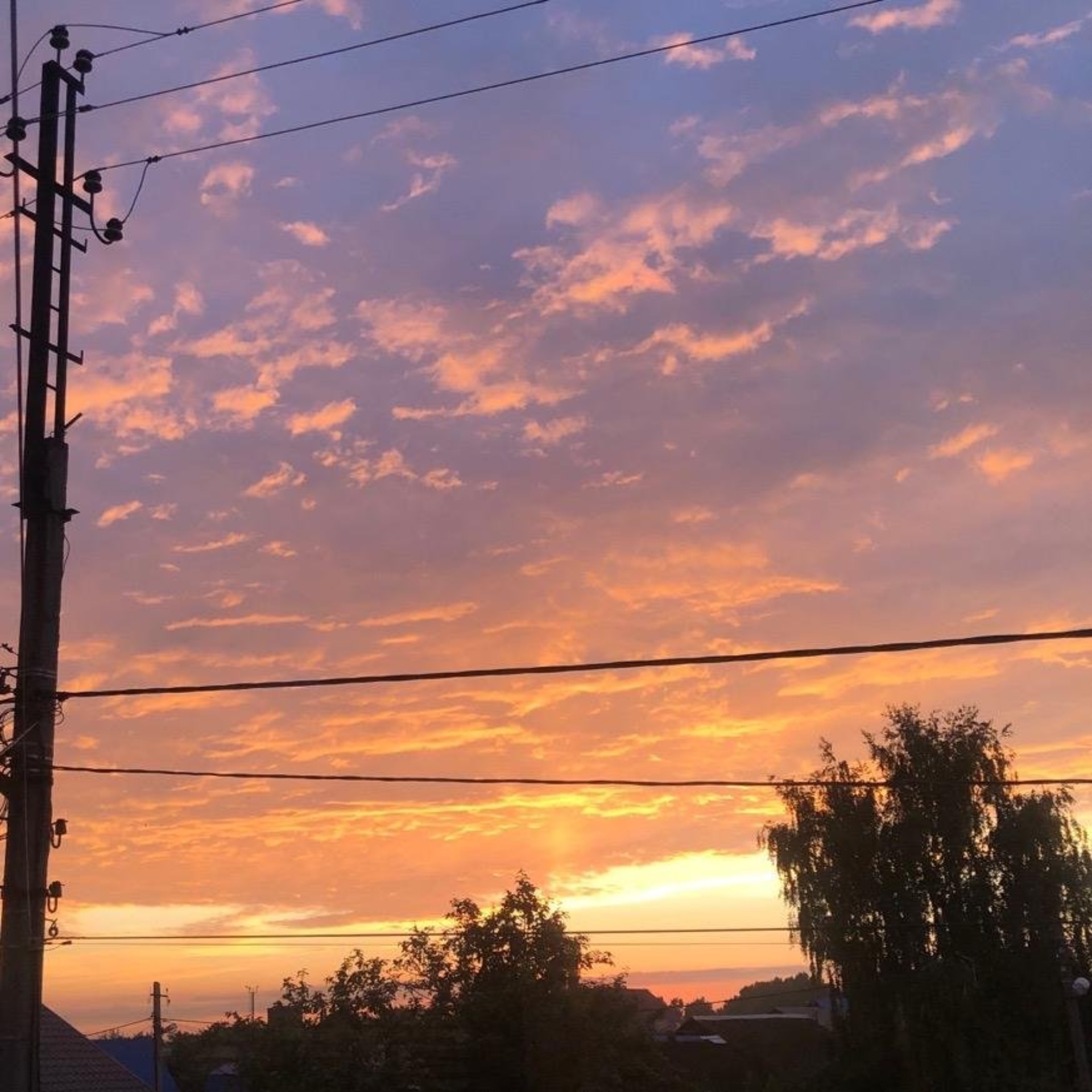 Зоодоктор, ветеринарная клиника