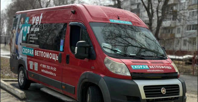 Ветнадом, центр скорой ветеринарной помощи — груминг Владивосток