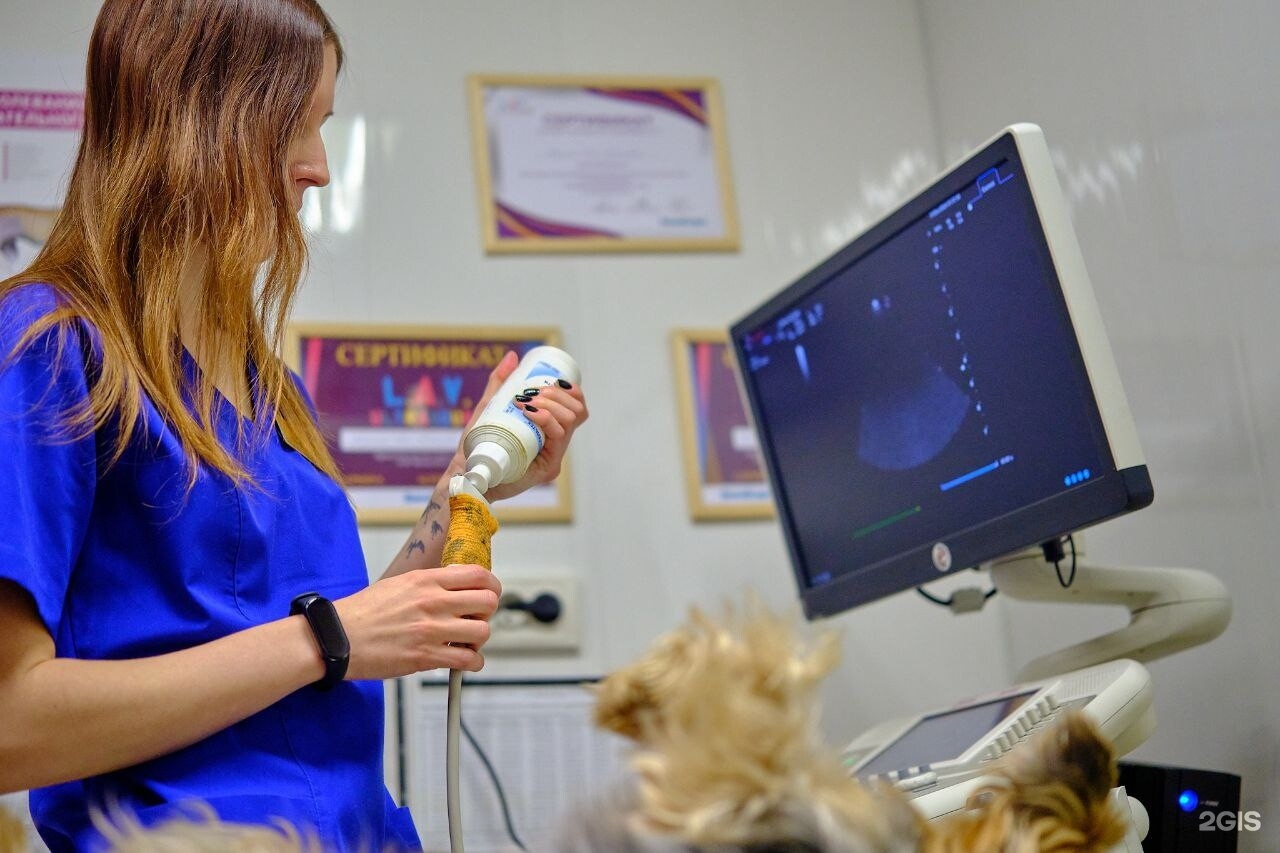 Элирис, ветеринарный центр