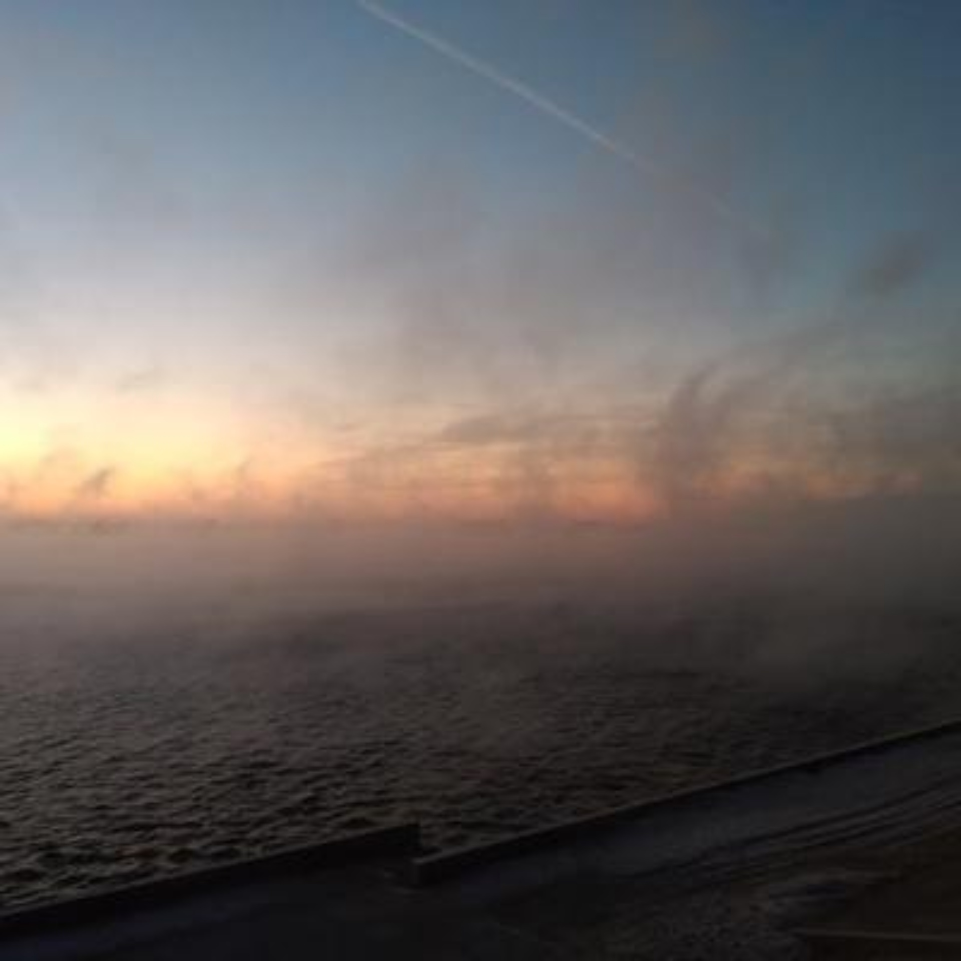 Кабинет ветеринарной помощи