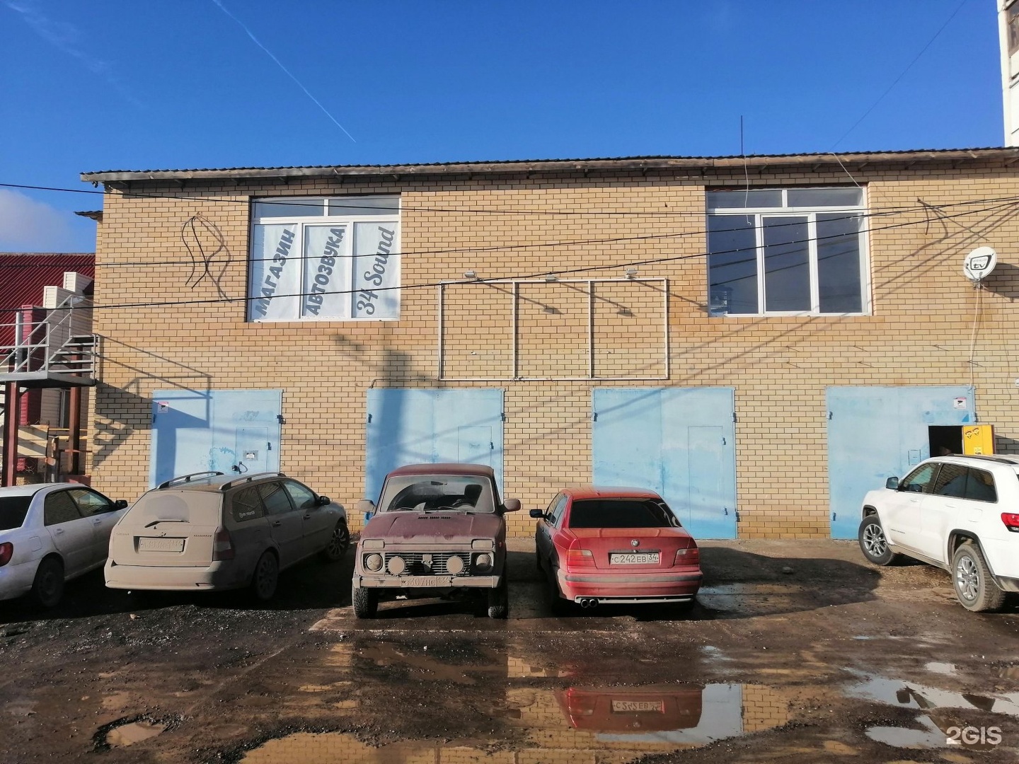 Trio dogcenter, центр по уходу за домашними животными