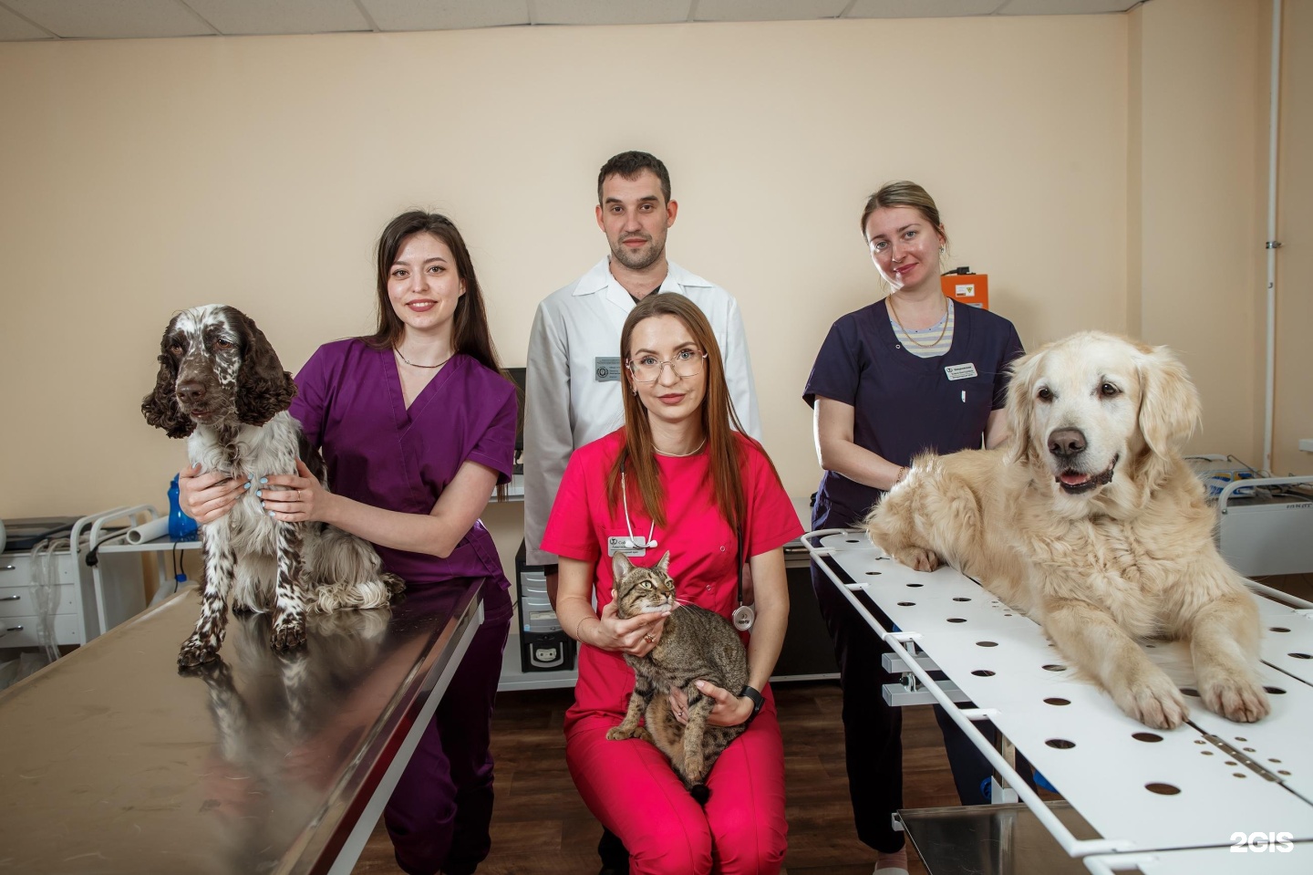 Центр ветеринарии, ВолгГМУ, ВолгГМУ