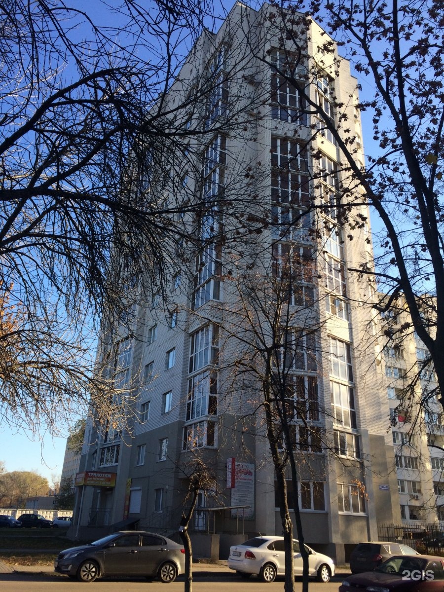 Веселый енот, ветеринарная клиника-зоомагазин