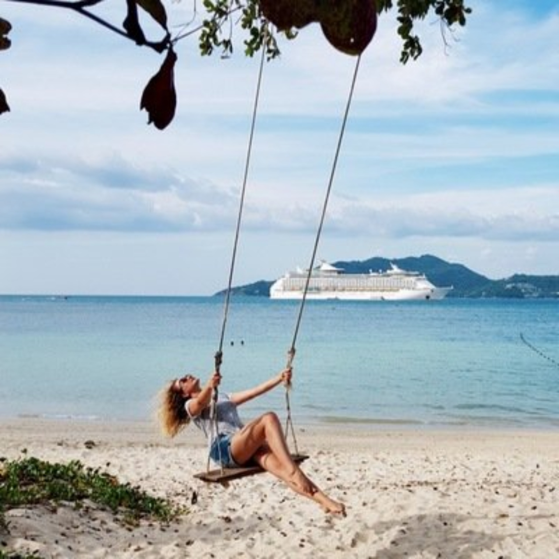 Доктор Айболит, сеть ветеринарных клиник