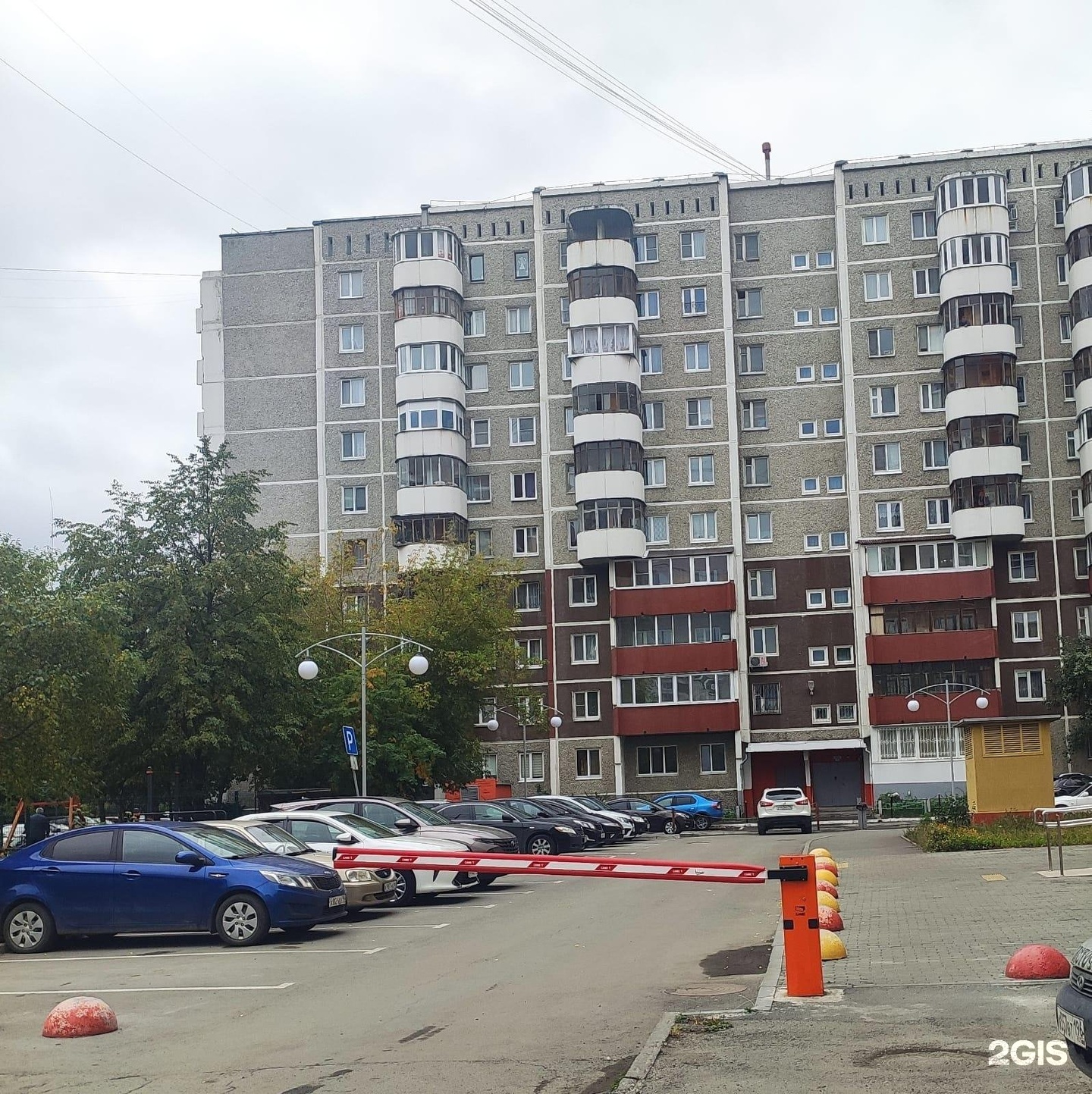 Доктор Айболит, сеть ветеринарных клиник