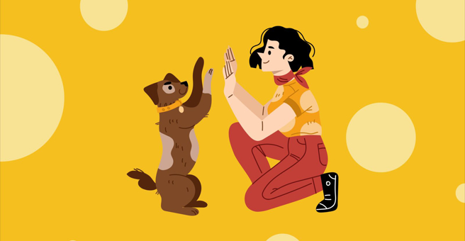 ФАУНВИЛЬ, зооцентр — груминг Екатеринбург