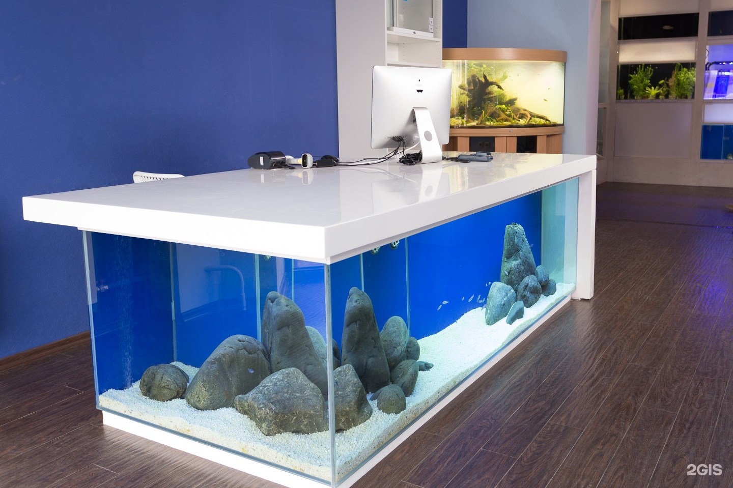 Happyfishes, аквариумный салон — груминг Екатеринбург