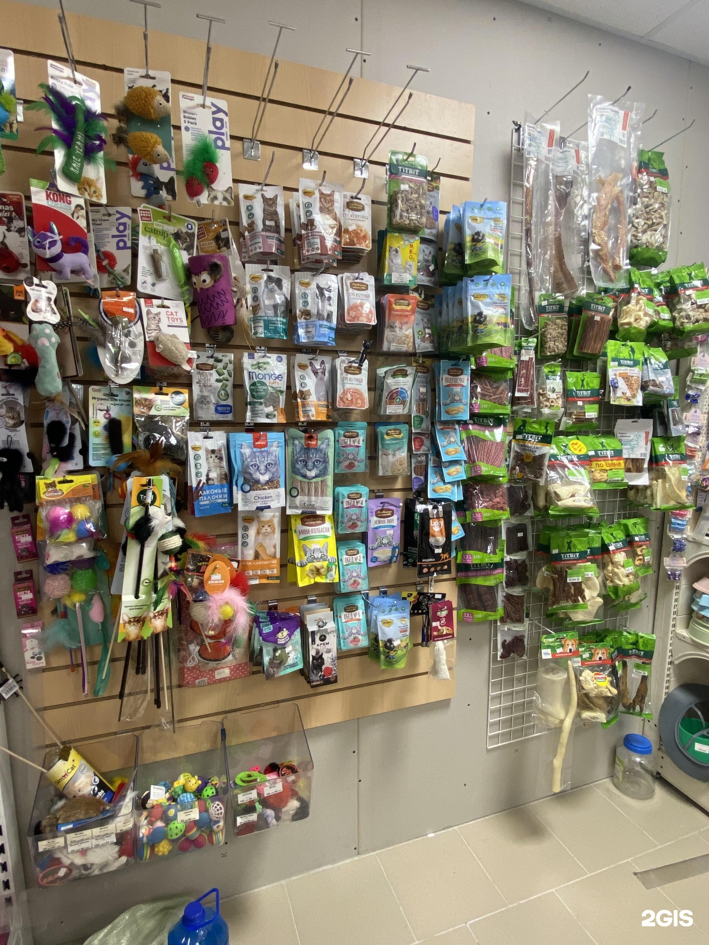 Мой друг, зоомагазин — груминг Екатеринбург