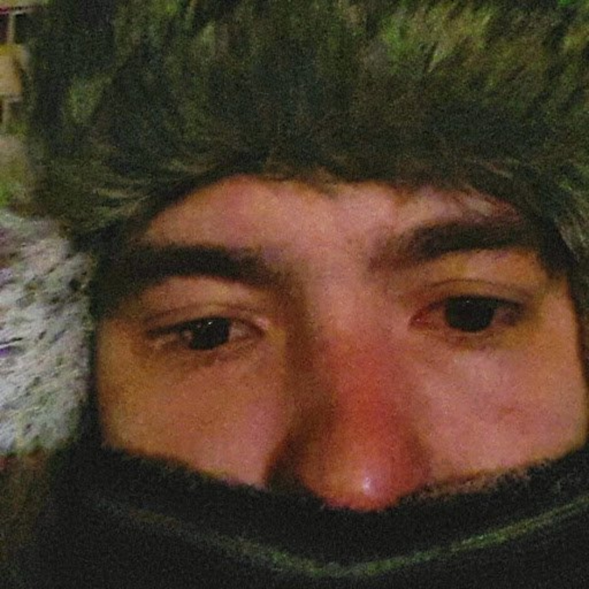 PARADOGs, сеть зоосалонов