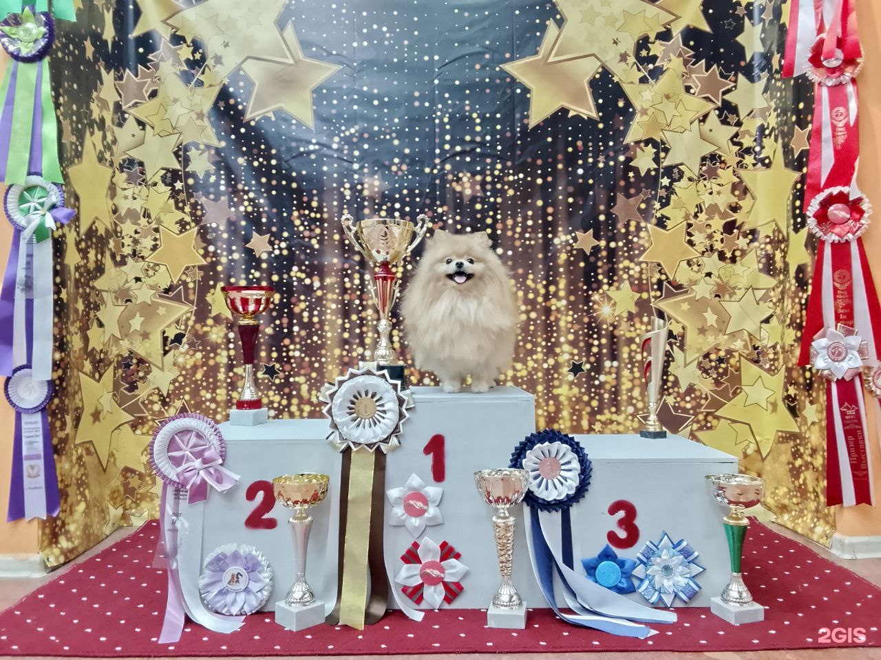 Рай, зоосалон — груминг Екатеринбург