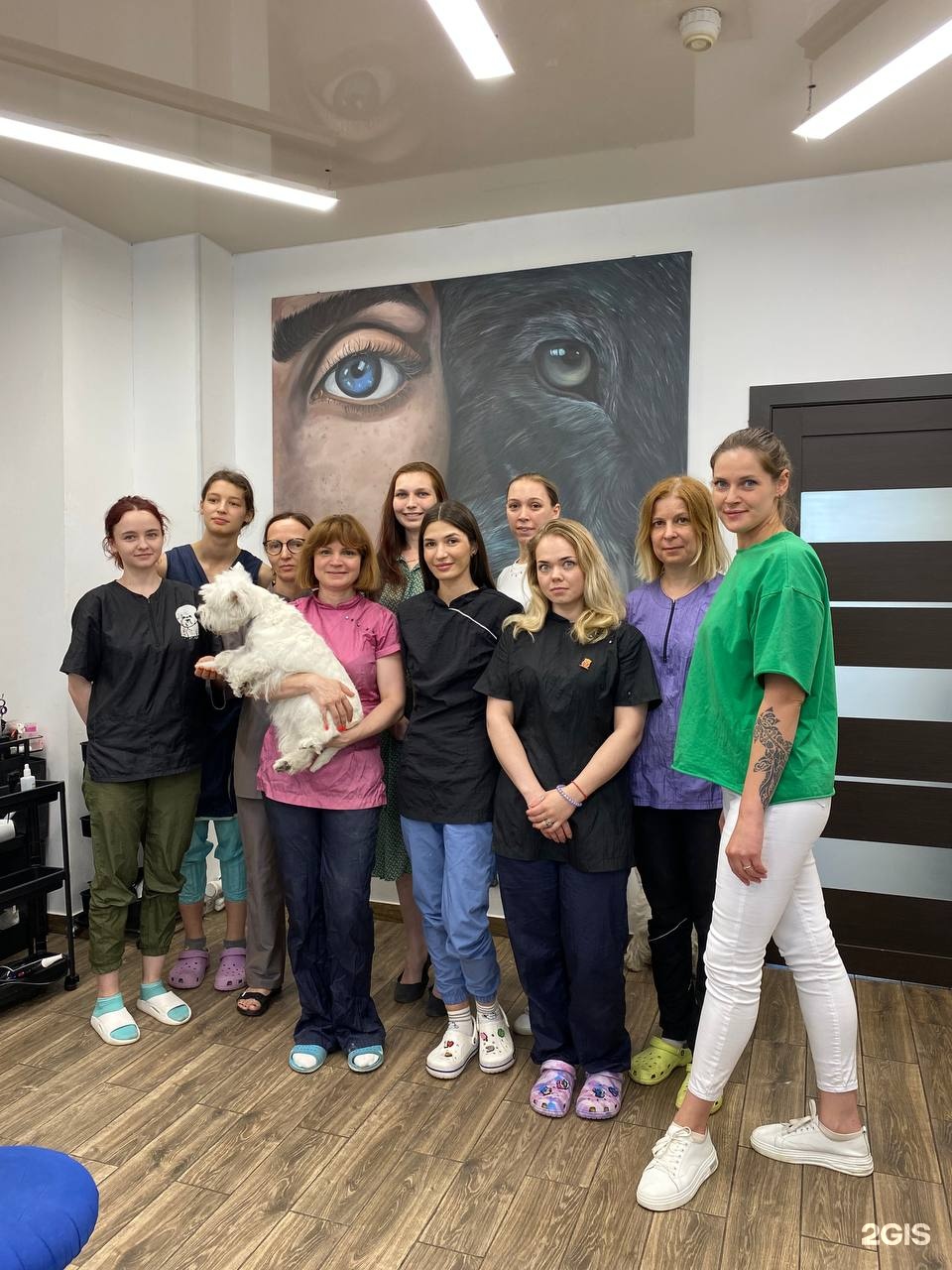 Urbandog, школа груминга — груминг Екатеринбург