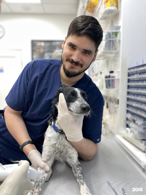 Зоодоктор, ветеринарная клиника — груминг Екатеринбург